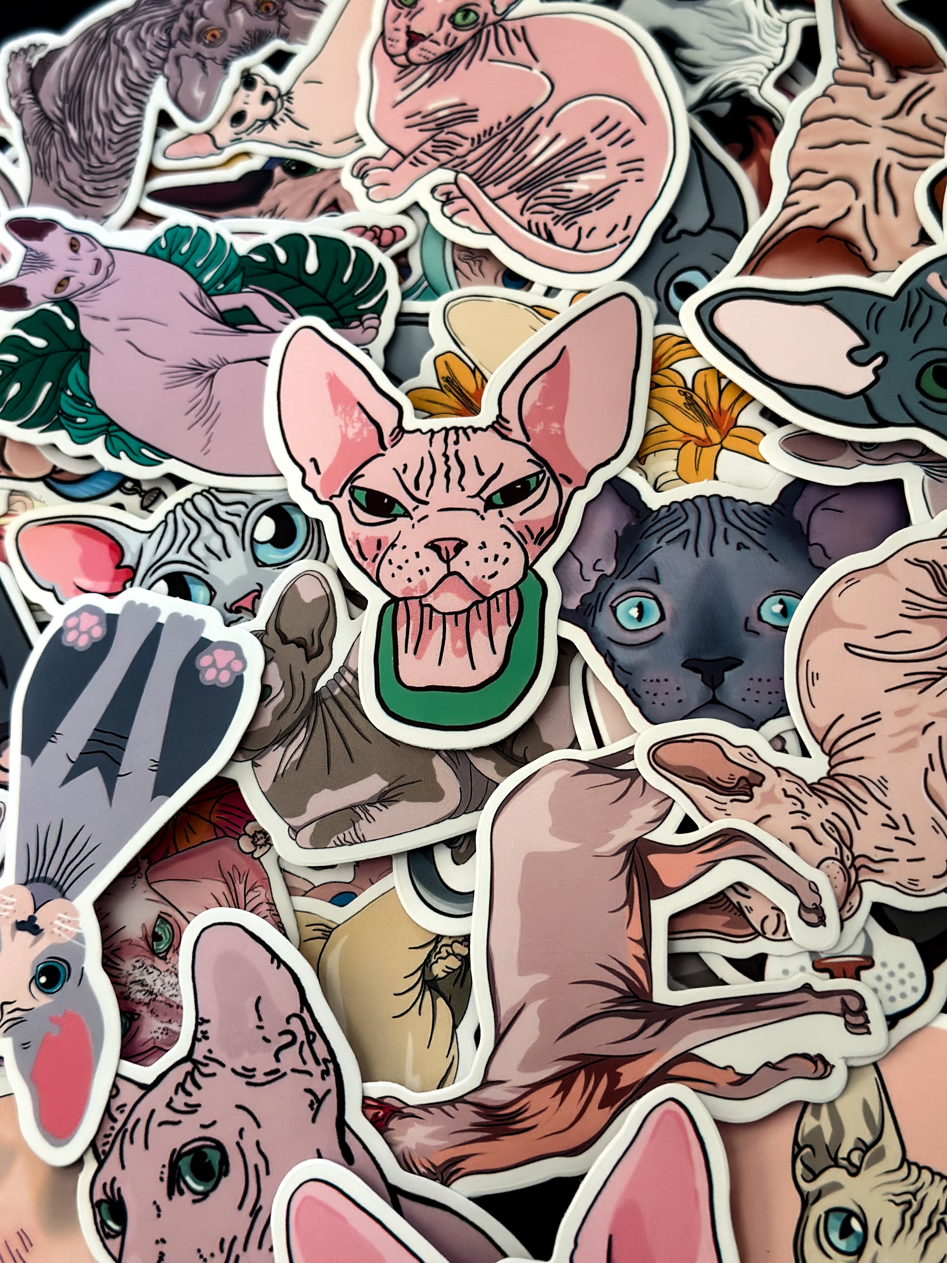 Sphynx Cat Sticker Pack