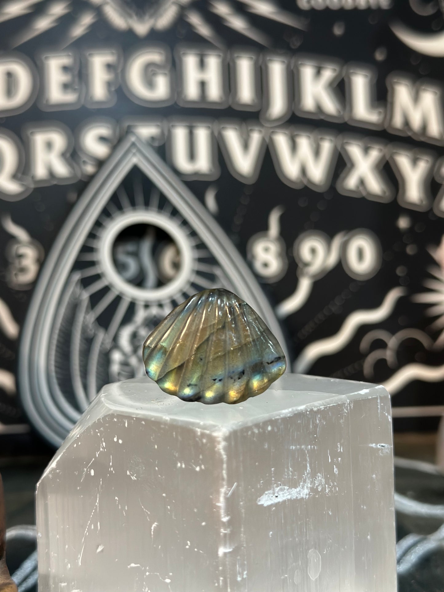 Labradorite Shell